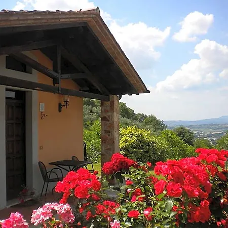Il Poggio Degli Olivi 酒店