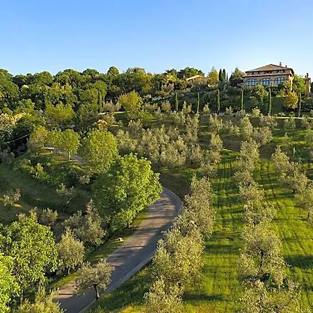 Il Poggio Degli Olivi