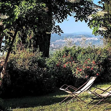 Il Poggio Degli Olivi 酒店 3*