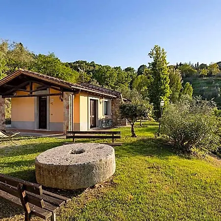 Il Poggio Degli Olivi