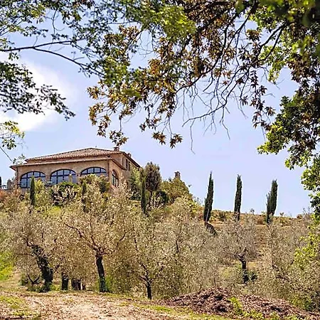 Il Poggio Degli Olivi 贝托纳