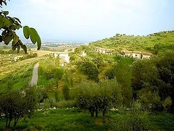 ホテル Il Poggio Degli Olivi