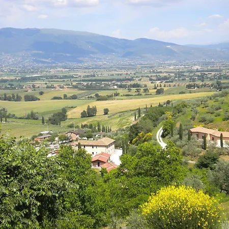 Il Poggio Degli Olivi Hotel