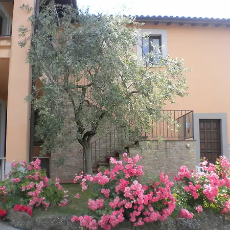 Il Poggio Degli Olivi Bettona