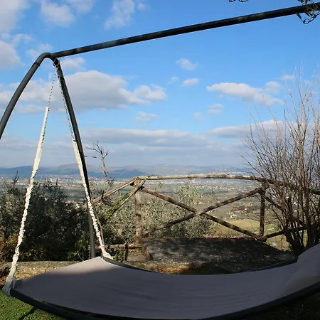 酒店 Il Poggio Degli Olivi
