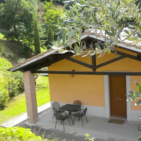 Il Poggio Degli Olivi