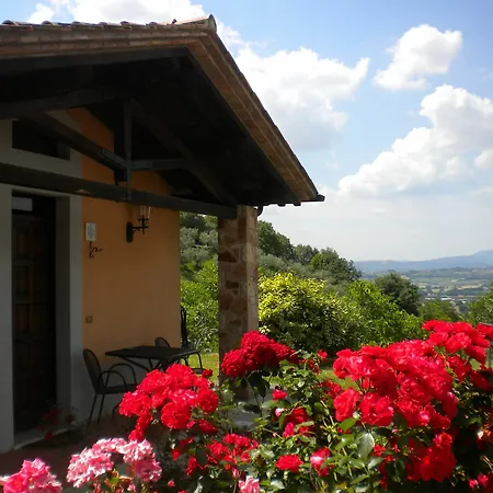 Il Poggio Degli Olivi Hotel