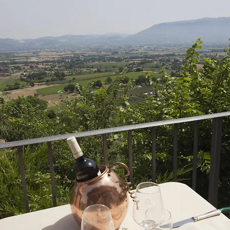 酒店 Il Poggio Degli Olivi 3*