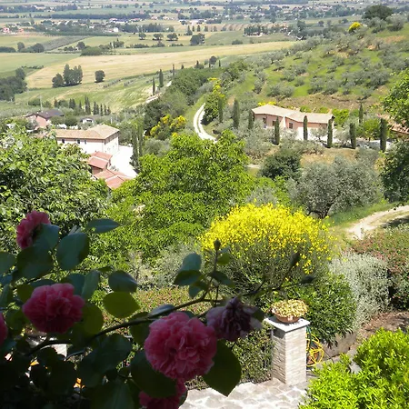 Il Poggio Degli Olivi 贝托纳