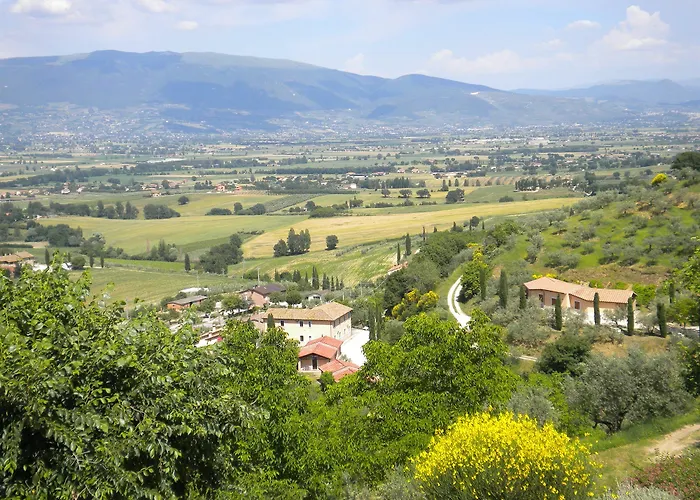 Il Poggio Degli Olivi Hotel
