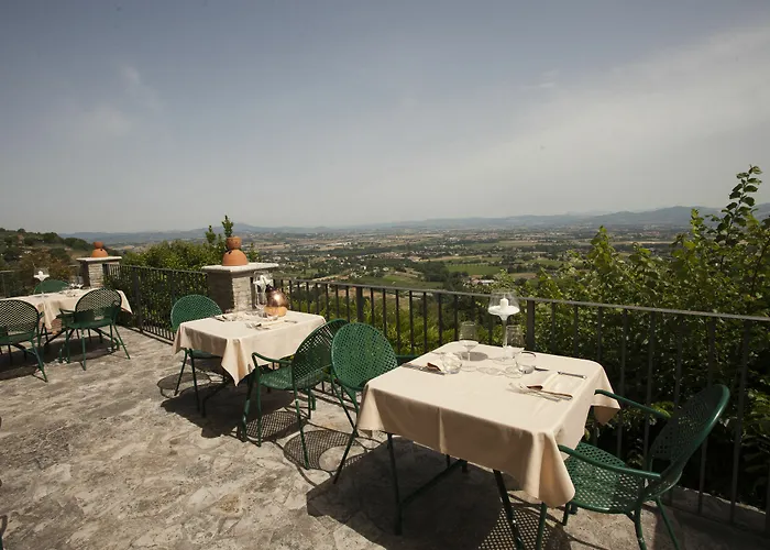 Il Poggio Degli Olivi