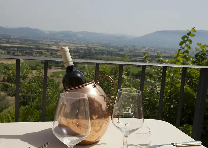 Il Poggio Degli Olivi Hotel