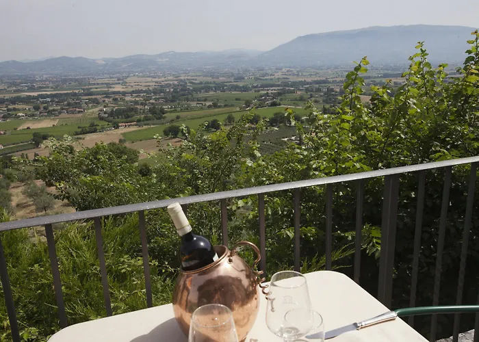 Hotel Il Poggio Degli Olivi 3*