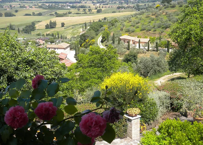Il Poggio Degli Olivi Bettona